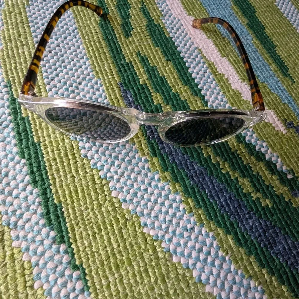 Clear Frame Round Sunglasses Tortoiseshell Arms Black Lenses Festival Indie Slea